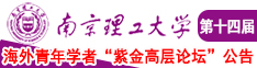 操逼一去南京理工大学第十四届海外青年学者紫金论坛诚邀海内外英才！